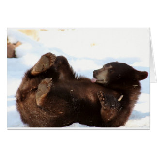 BEARYよい日を!過して下さい!!