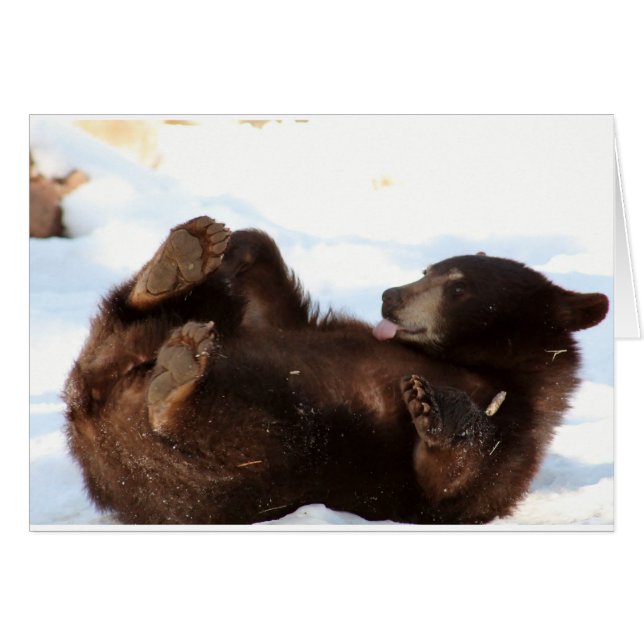 BEARYよい日を!過して下さい!! (正面横)