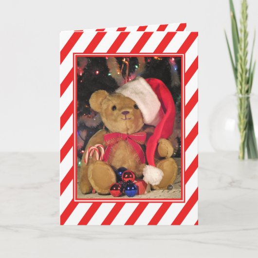 Beary Teddy メリー Bear Christmas Greeting Card シーズンカード (正面)