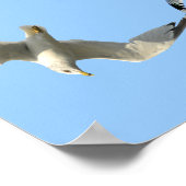 Beatitudes in Flying Seagull Border ポスター (角)