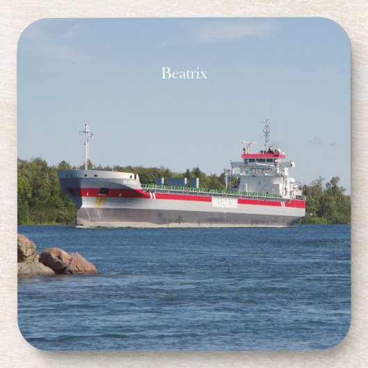 Beatrixセット6個のプラスチック製コースター コースター (正面)