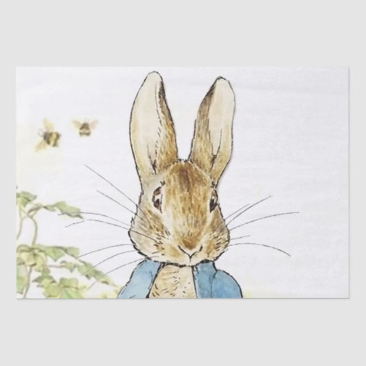 Beatrix Potterによる「レタス・パッチのピーター」 薄葉紙 (正面)