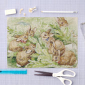 Beatrix Potter Tale of the Flopsy Bunnies 薄葉紙 (クラフト)