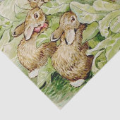 Beatrix Potter Tale of the Flopsy Bunnies 薄葉紙 (詳細)