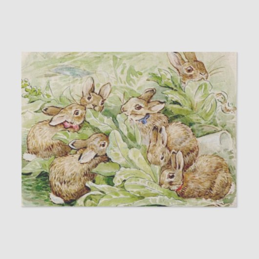 Beatrix Potter Tale of the Flopsy Bunnies 薄葉紙 (正面)