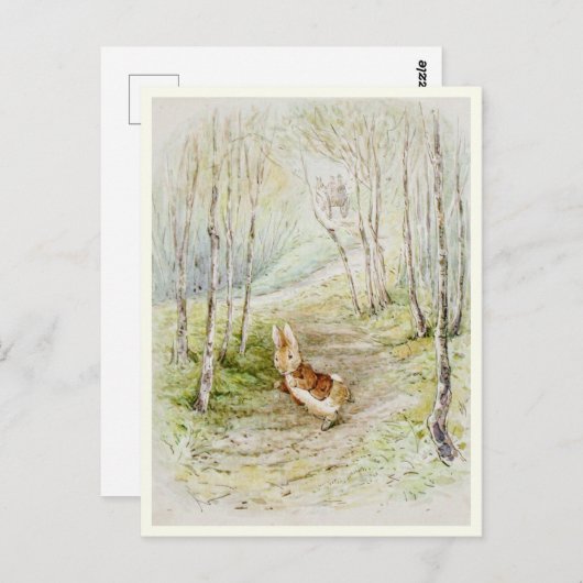 Beatrix Potter The Tale of Benjamin Bunny ポストカード (正面/裏面)