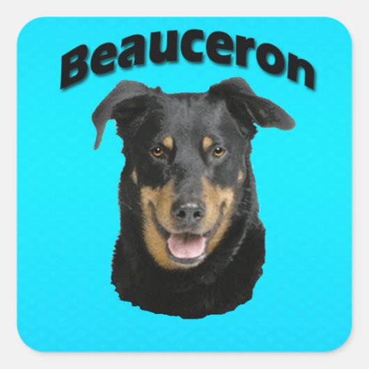 Beauceronのターコイズ スクエアシール (正面)