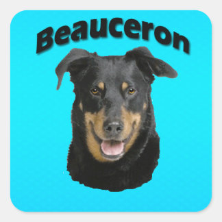 Beauceronのターコイズ スクエアシール