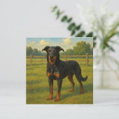 Beauceron カード (スタンド正面)