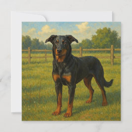 Beauceron カード