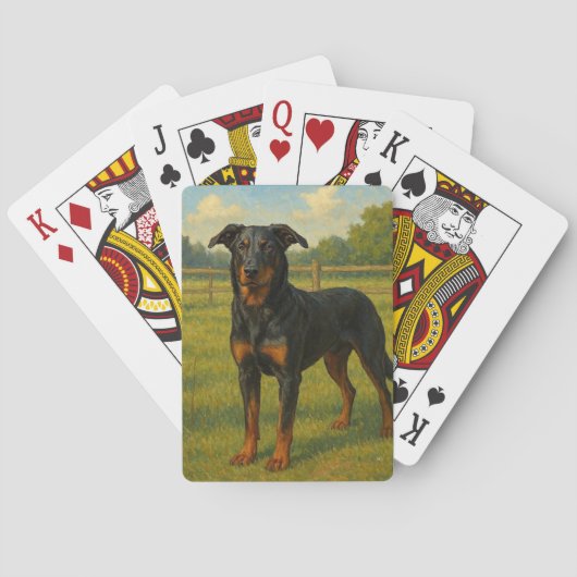 Beauceron トランプ (裏面)
