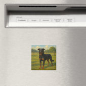 Beauceron マグネット (インサイチュ (食洗機))