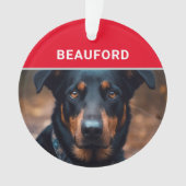 Beauceron with Dog's Name and Photo Chrimas オーナメント (正面)