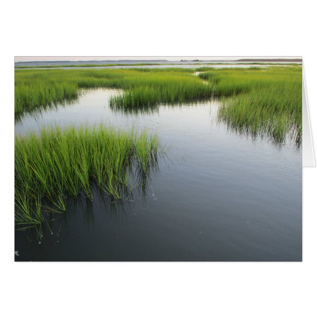 Beaufortの裏庭 (正面横)