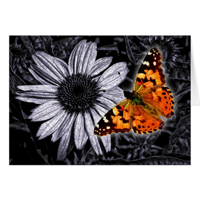 Beautifly (正面横)