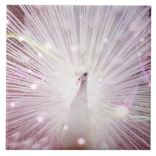 BeautifuのlWildの鳥 タイル (正面)