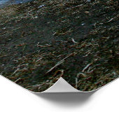 Beautiful ポスター (角)