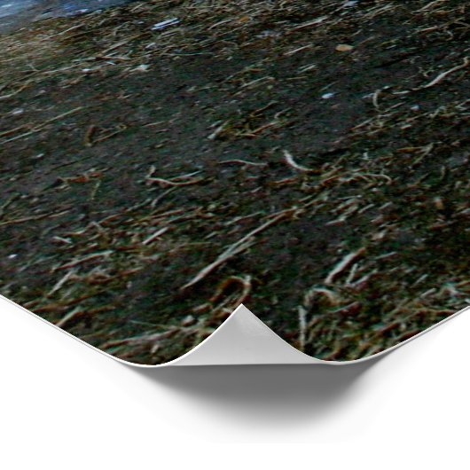 Beautiful ポスター (角)