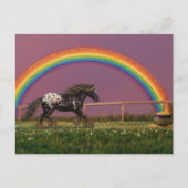 Beautiful Appaloosa at the Rainbow ポストカード (正面)