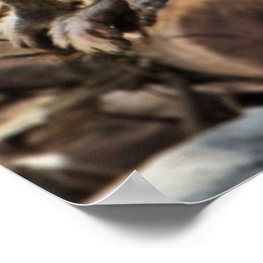 beautiful baboon print ポスター (角)