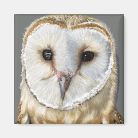 Beautiful Barn Owl マグネット (正面)