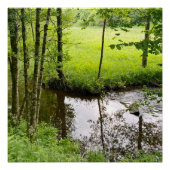 Beautiful belgian forest and river, travel ポスター (正面)