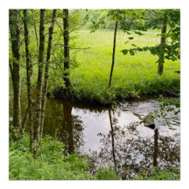 Beautiful belgian forest and river, travel ポスター