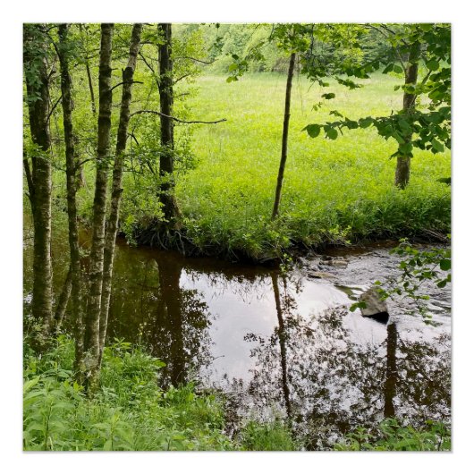 Beautiful belgian forest and river, travel ポスター (正面)