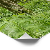 Beautiful belgian forest and river, travel ポスター (コーナー)