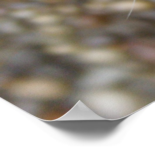 Beautiful Bengal Cat ポスター (角)