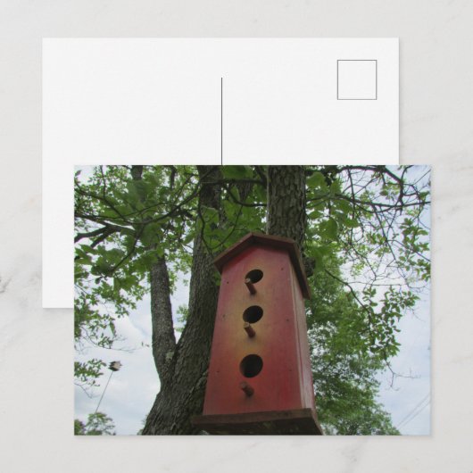 beautiful bird house hanging from the tree ポストカード (正面/裏面)