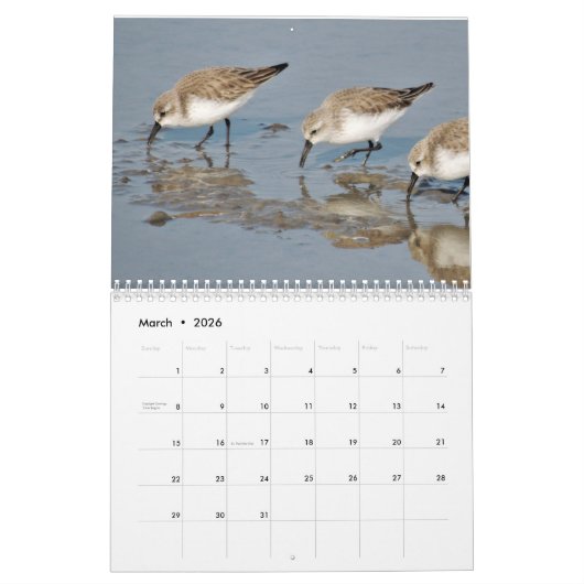 Beautiful Birds Calendar カレンダー (3月 2026)