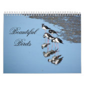 Beautiful Birds Calendar カレンダー (カバー)