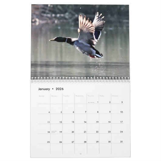 Beautiful Birds Calendar カレンダー (1月 2026)
