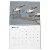 Beautiful Birds Calendar カレンダー (3月 2027)
