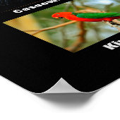 Beautiful Birds of Australia ポスター (角)