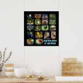 Beautiful Birds of Australia ポスター (キッチン)