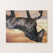 Beautiful Black Horse ジグソーパズル (横)