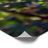 Beautiful Blue Jay ポスター (角)