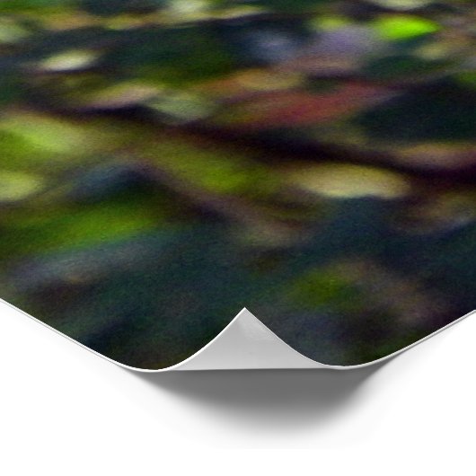 Beautiful Blue Jay ポスター (角)