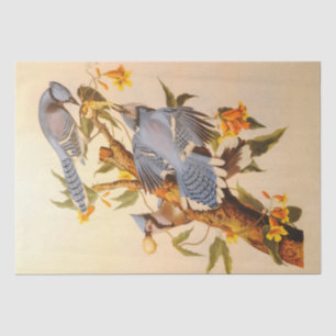 Beautiful Blue Jays decopage家具 薄葉紙