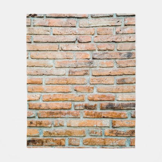 Beautiful brick wall Old classicabstract, architec フリースブランケット (正面)
