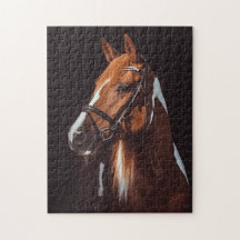 Beautiful Brown Paint Horse Portrait Photo