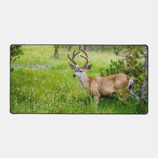 Beautiful Buck in the Meadow Desk Mat デスクマット (正面)