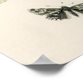 Beautiful Butterly Nature Print Poster ポスター (角)