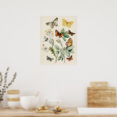Beautiful Butterly Nature Print Poster ポスター (キッチン)