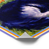 Beautiful Cat, named Peter, Louis Wain famous Pet ポスター (角)