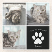 Beautiful Cat Photo Collage In Loving Memory ガラスコースター (正面)