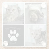 Beautiful Cat Photo Collage In Loving Memory ガラスコースター (裏面)