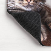 Beautiful Cat Resting 2024カレンダー マウスパッド (コーナー)